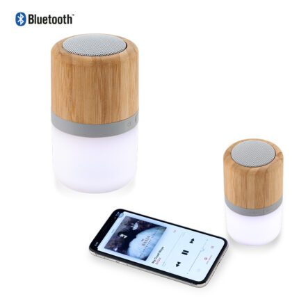 TE-384 - SPEAKER BLUETOOTH BAMBOO RAINBOW